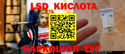 сатива Ставрополь