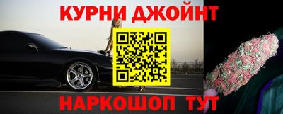 сатива Ставрополь