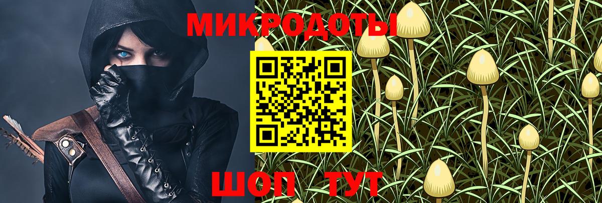 Галлюциногенные грибы Psilocybe Тихорецк