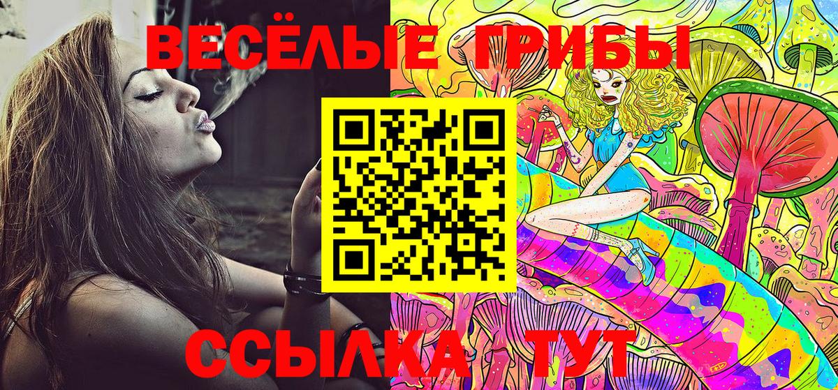 Псилоцибиновые грибы прущие грибы  Галлюциногенные грибы прущие грибы  купить закладку  Тихорецк  Вход с VPN 